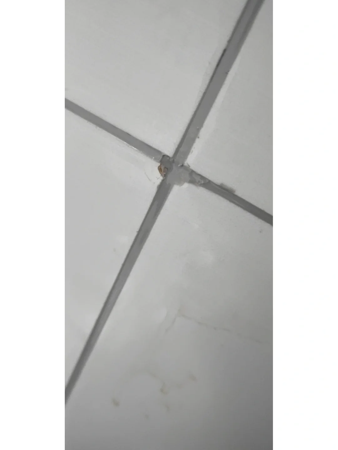 墙砖掉了几块怎么补救其他的砖(墙砖掉了几块怎么补救其他的砖不会掉) 墙砖掉了几块怎么补救其他的砖(墙砖掉了几块怎么补救其他的砖不会掉)